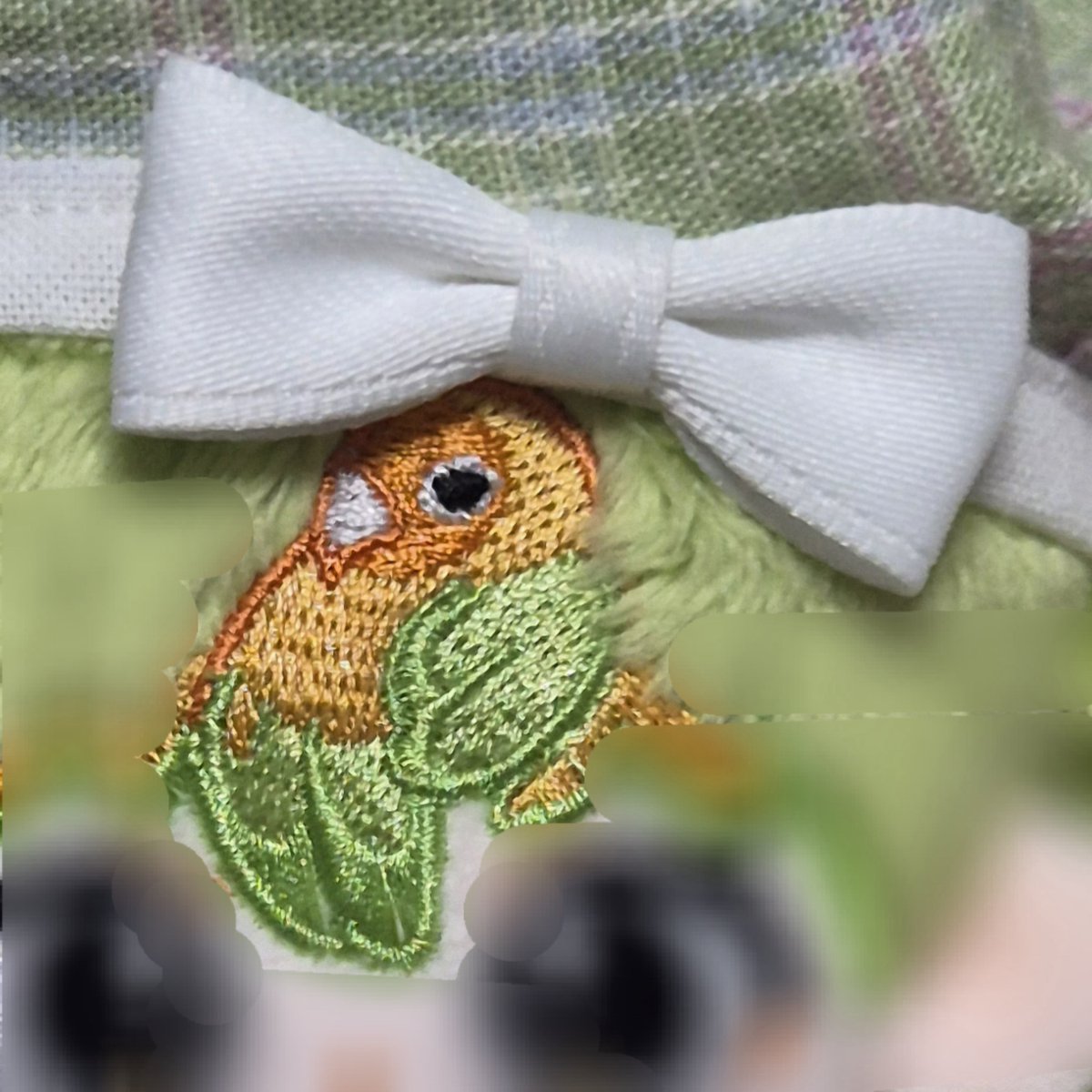 앵무가 리본달고있는것처럼 보여서 혼자 좋아하고있음