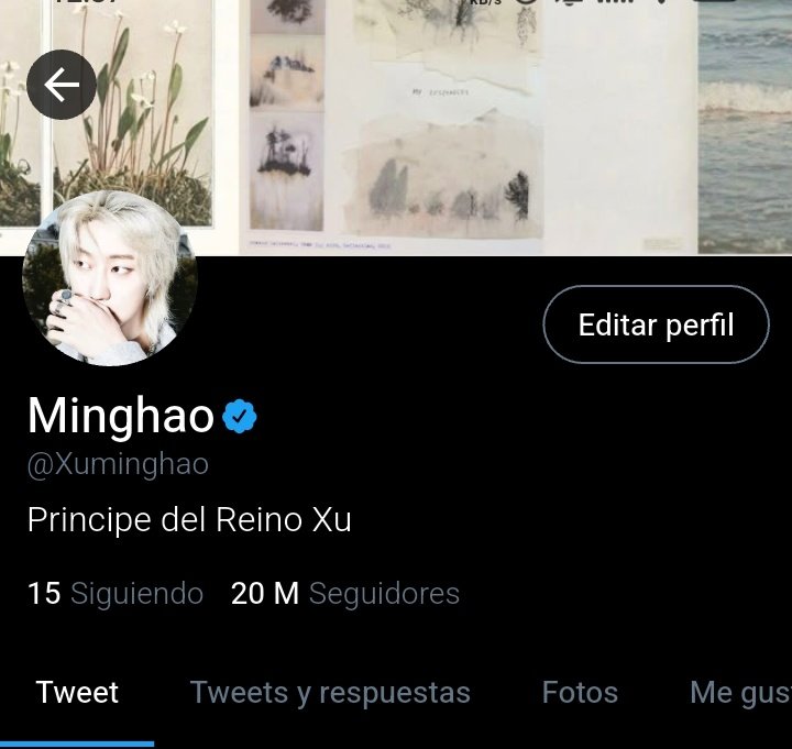 Pattyntf's tweet photo. Xu Minghao
•Educado para gobernar desde la cuna
•Inteligente, elegante, con una calma que intimida
•No confía fácilmente
•Odia sentirse usado
•Debe casarse antes de ser rey 
•Tiene 25 años https://t.co/XyPxbJRbJA
