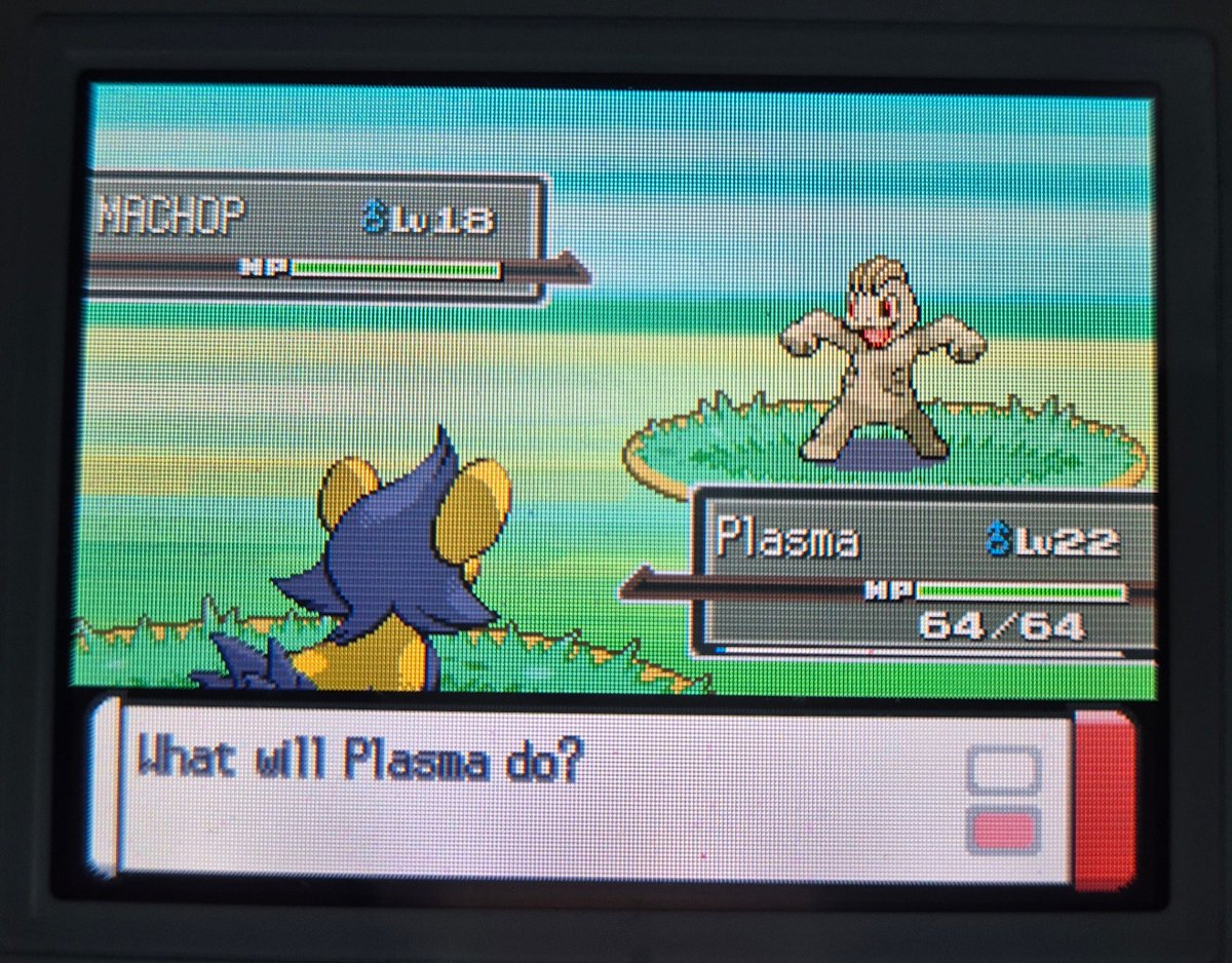 Proj in Sinnoh 📍 tweet media