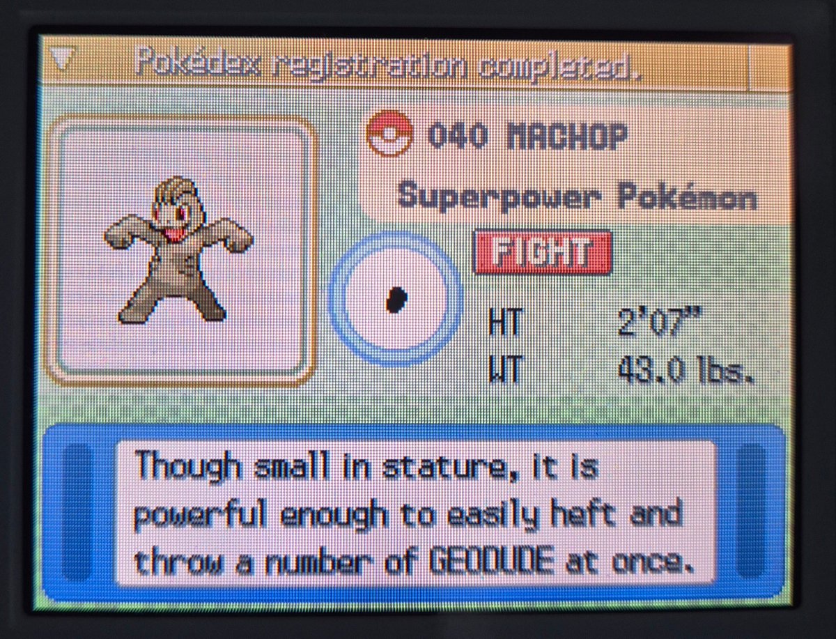 Proj in Sinnoh 📍 tweet media