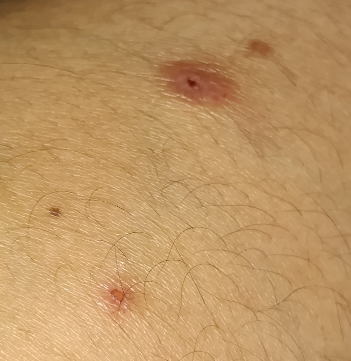 𝓓𝓲𝓷𝓪 tweet media