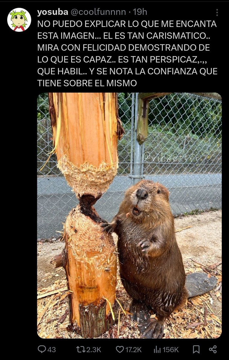 ExdiLimbom's tweet photo. @coolfunnnn NO PUEDO EXPLICAR LO QUE ME ENCANTA ESTA IMAGEN... EL ES TAN CARISMATICO MIRA CON FELICIDAD DEMOSTRANDO DE LO QUE ES CAPAZ.. ES TAN PERSPICAZ,.,, QUE HABIL.. Y SE NOTA LA CONFIANZA QUE TIENE SOBRE EL MISMO https://t.co/NPNkSCXgXz