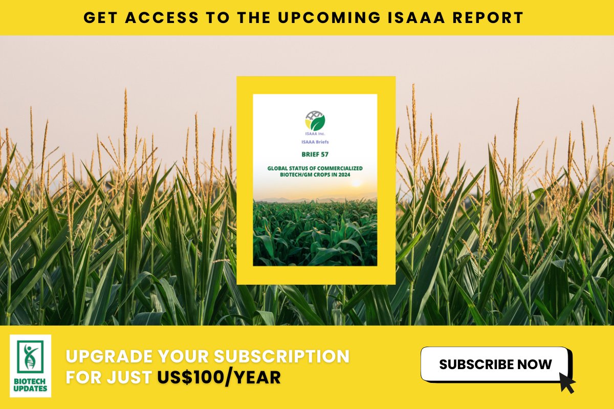 ISAAA Inc. tweet media