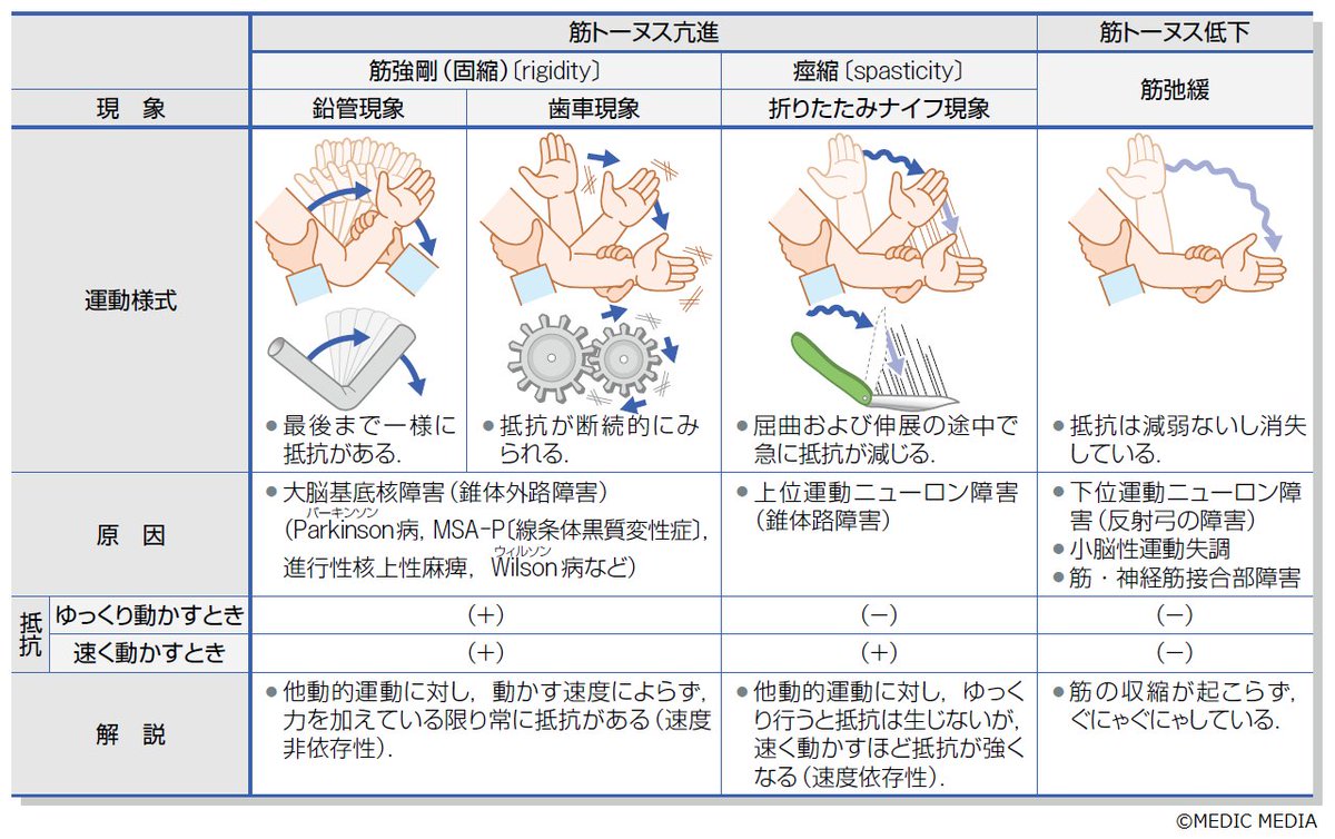 病みえ 病気がみえる - チーム医療を担う医療人共通のテキスト