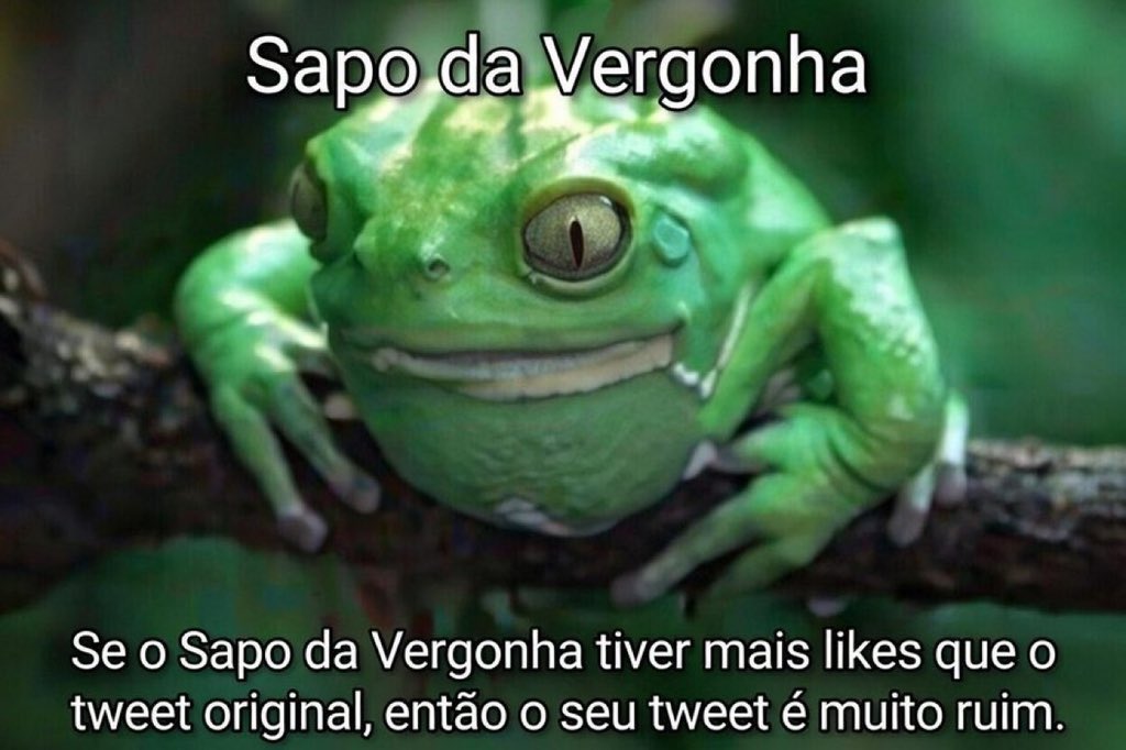 rucatelli's tweet photo. @PedroCerize https://t.co/coyIejDBQd