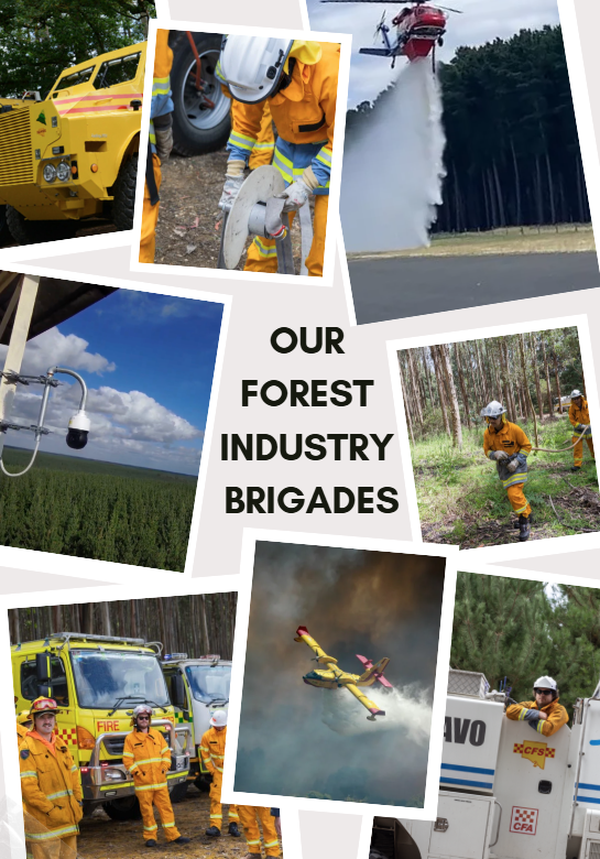 VFPAonline's tweet photo. As heatwaves continue across Victoria and South Australia, our thoughts are with all affected communities and emergency personnel.   

Authorities have warned a bushfire in the Otways, at Carlisle River nearly doubled in size overnight and is within one kilometre of Gellibrand. https://t.co/C2WDaZ86vZ
