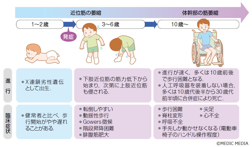 病気がみえる (@byo_mie) / Posts / X