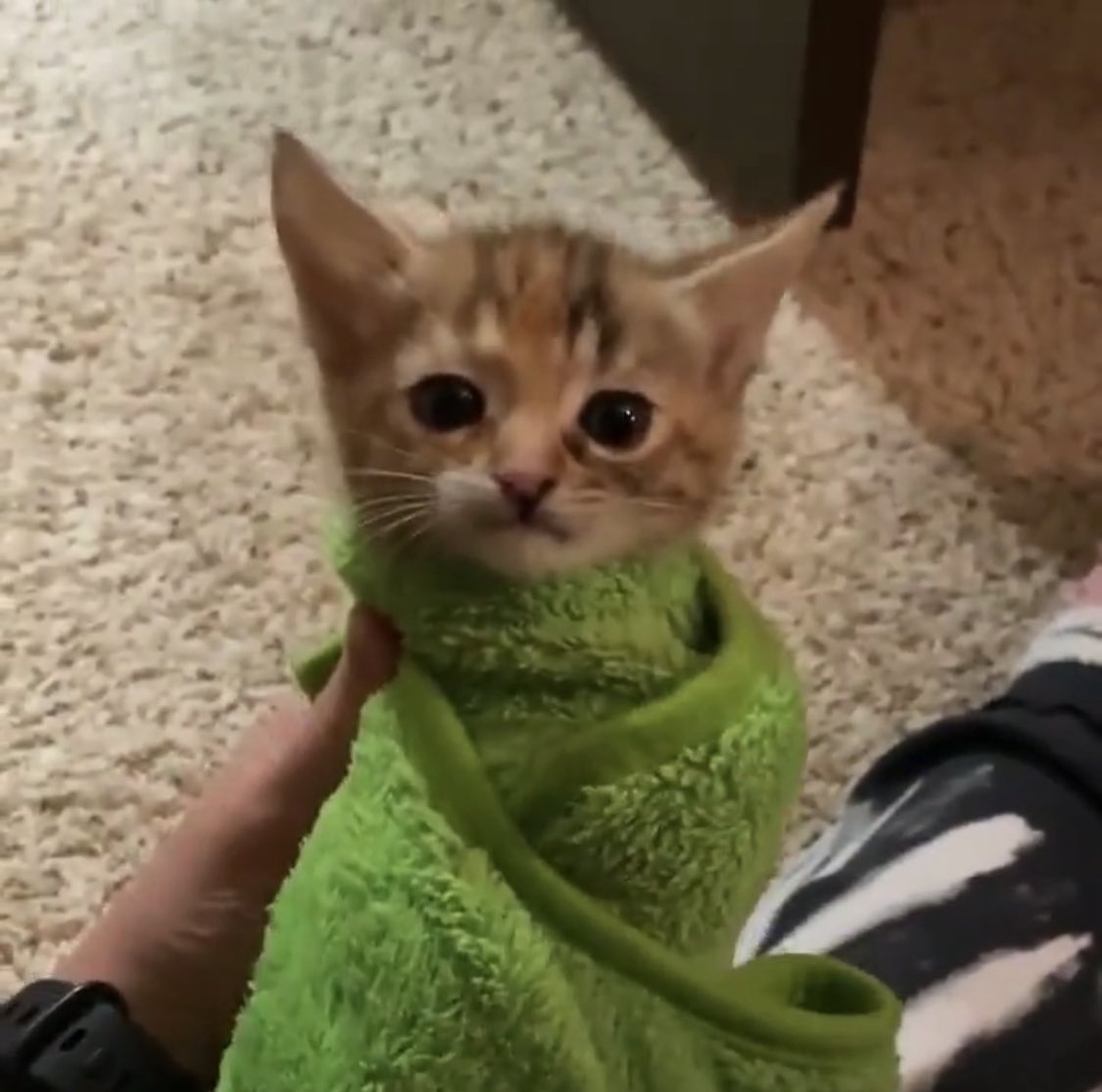 this life is a prison that i am unable to escape