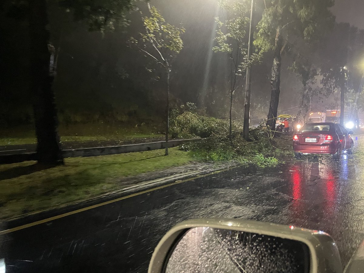 🚧 ATENCIÓN | CIERRE VIAL 🌧️🌳
Está cerrada la Av. Occidental (sentido norte–sur) por caída de árboles, a la altura de la Facultad de Educación Física – Universidad Central.

➡️ Evite la zona y tome vías alternas.
#Quito #Lluvias #Precaución <a href="/teleamazonasec/">Teleamazonas</a> <a href="/EcuavisaInforma/">Ecuavisa Noticias</a>