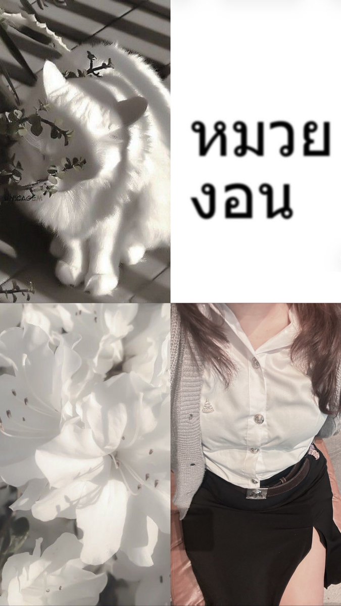 รักหนู หลงหนู 𝔽𝕥.แอคล็อคทักแชท✨ tweet media