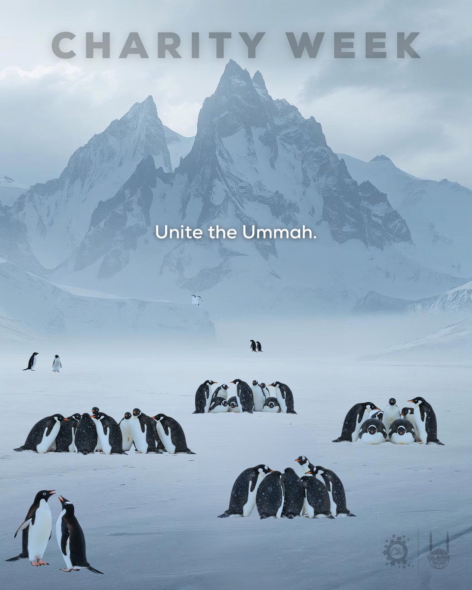 Charity Week tweet media