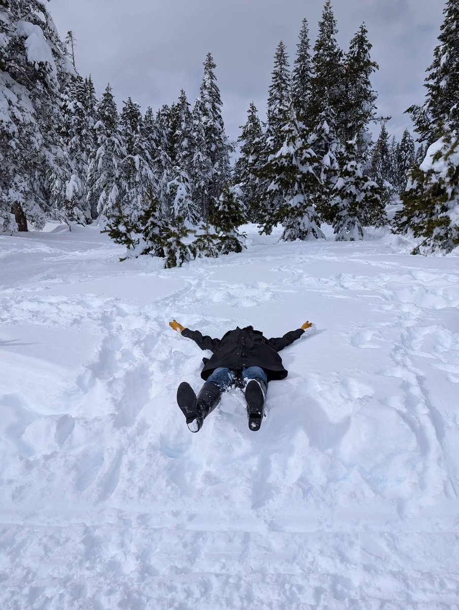 Hossein Sadrzadeh tweet media