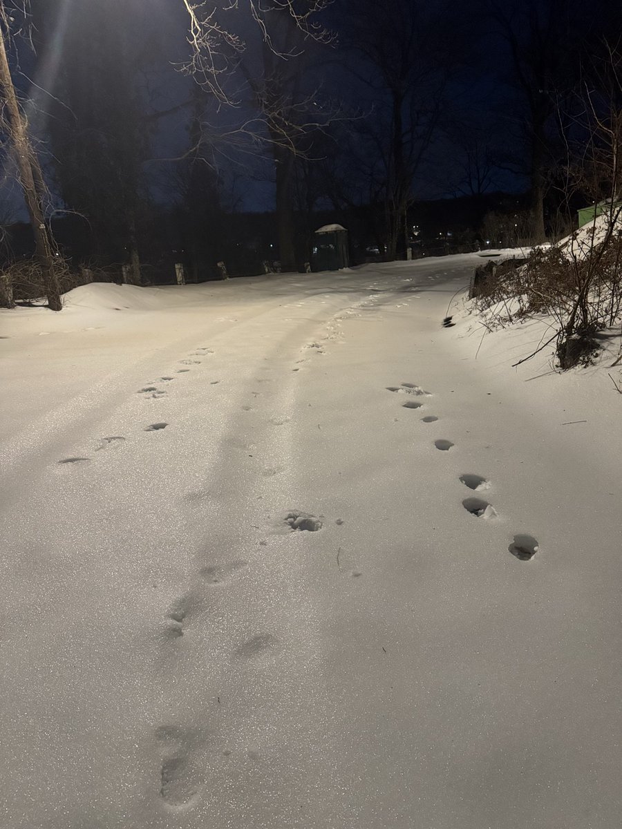 Dakarai D Thompson tweet media