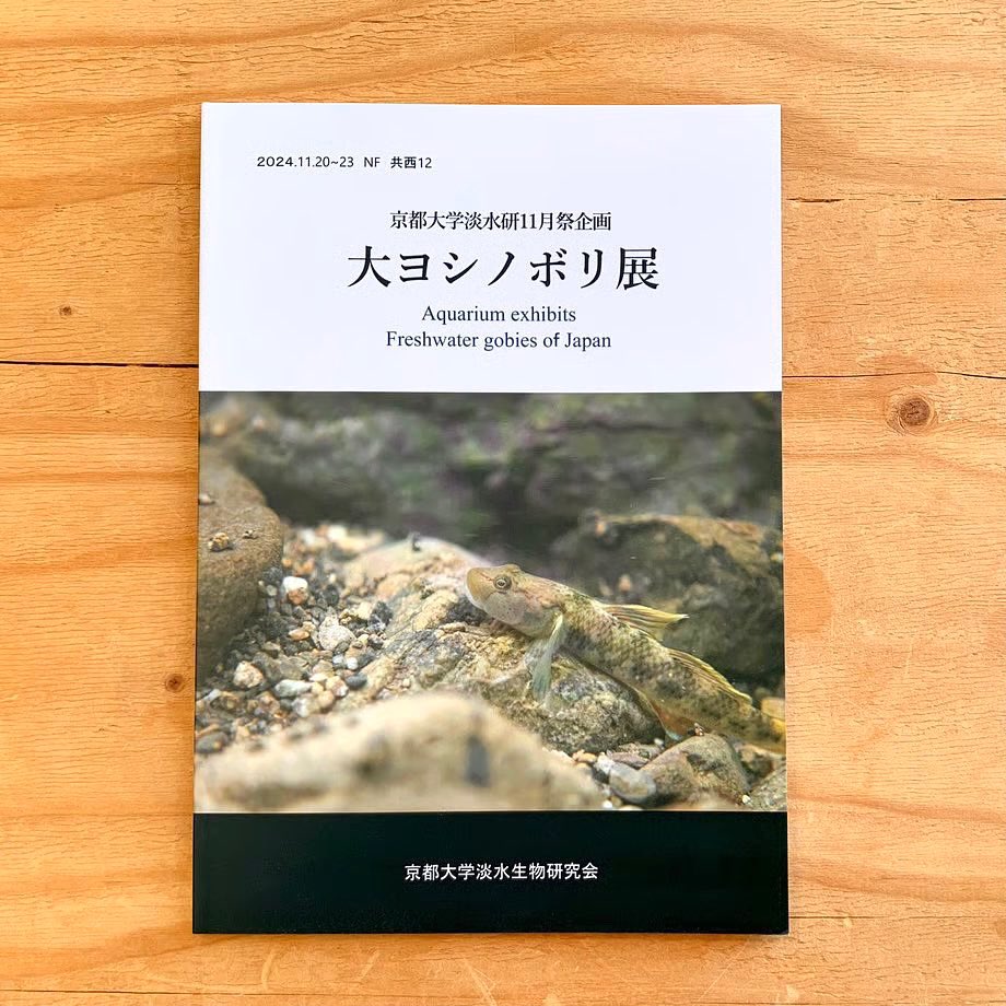 ＼再入荷／
人気の大ヨシノボリ展図録、店頭・オンラインともに再入荷してます🐟

🐟OPEN🐟
12:00- 17:30