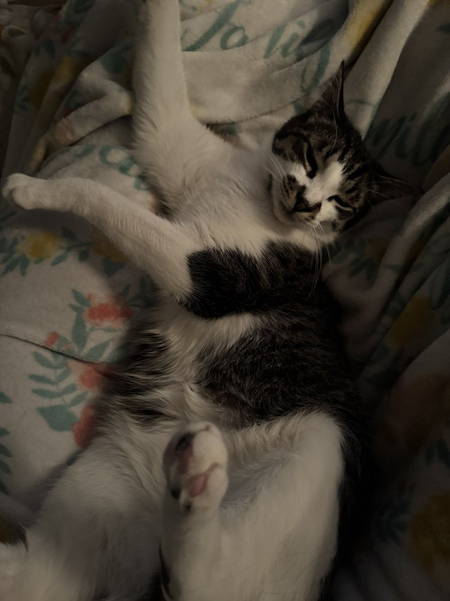 I literally gave birth to him