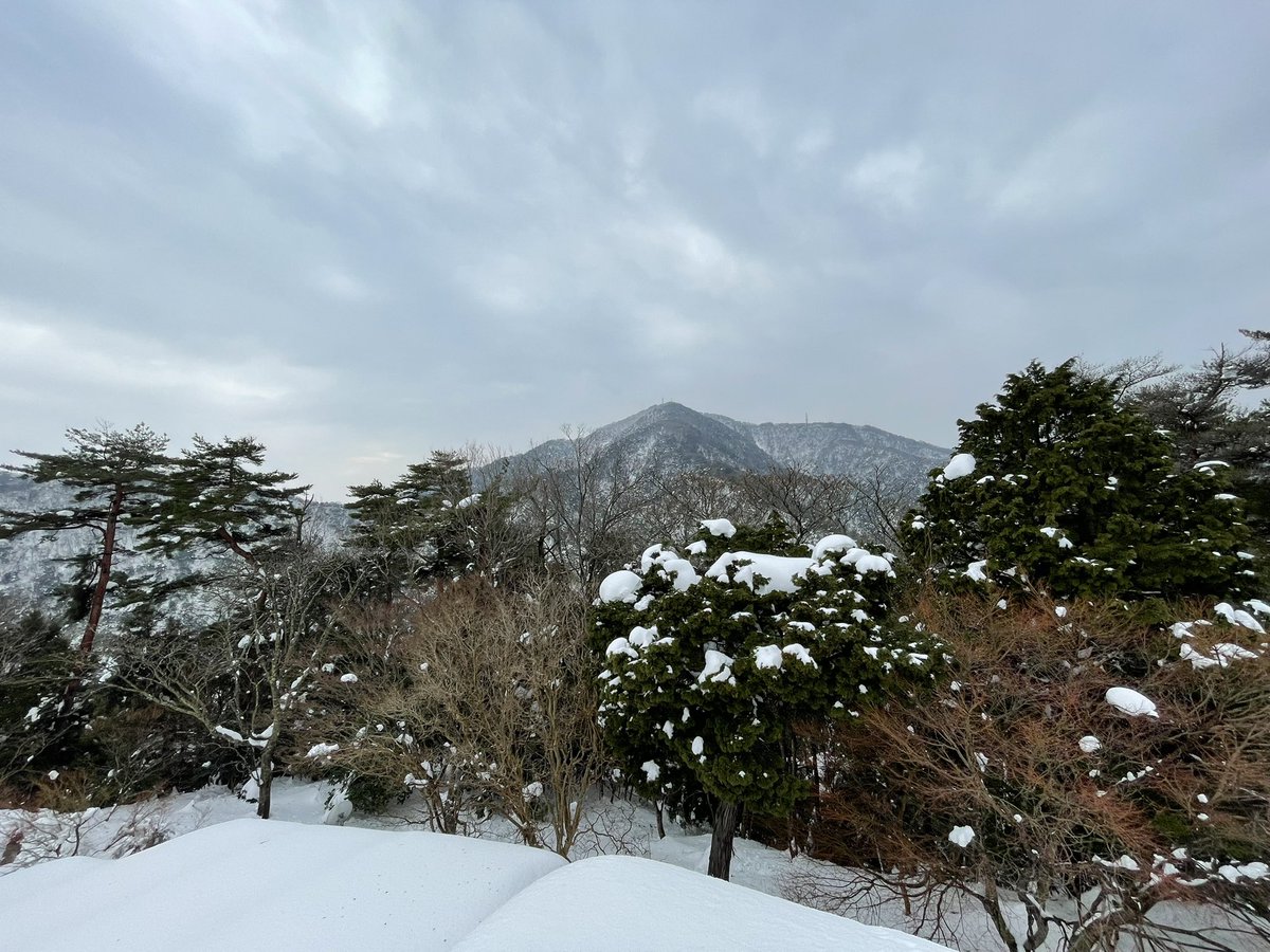 pnsk_noke's tweet photo. ふぁーーー https://t.co/50SniebTCu
