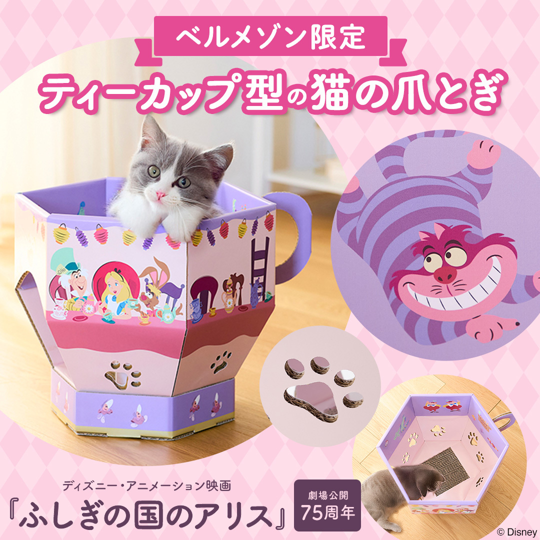 ついに発売📢 ／ デザインのアンケートにご回答いただいた『ふしぎの国