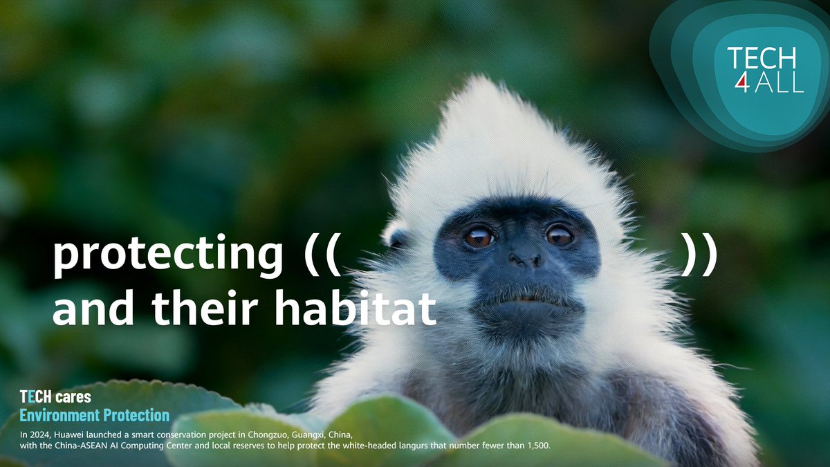 Critically endangered, but tech offers a lifeline.

Fewer than 1,500 white headed langurs remain, but real-time monitoring with cloud &amp; AI is supporting conservation &amp; repopulation efforts.  

RT to show your support.
