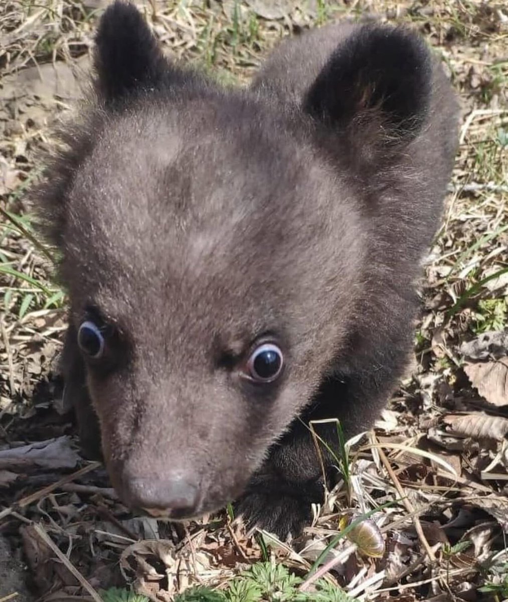 I didn’t know getting off a waitlist was possible