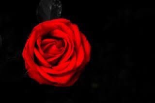 2026年1月27日。
浅川マキさん84回目のお誕生日です。(公称)

浅川マキ
1942年1月27日〜2010年1月17日