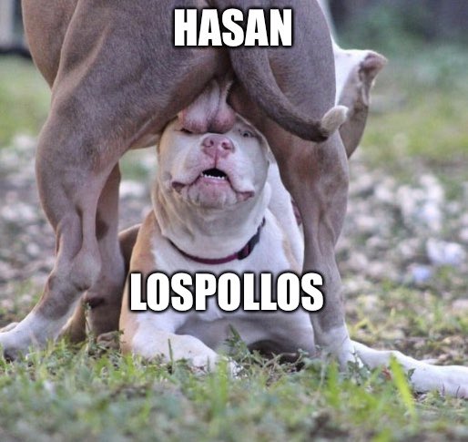 <a href="/hasanthehun/">hasanabi</a>