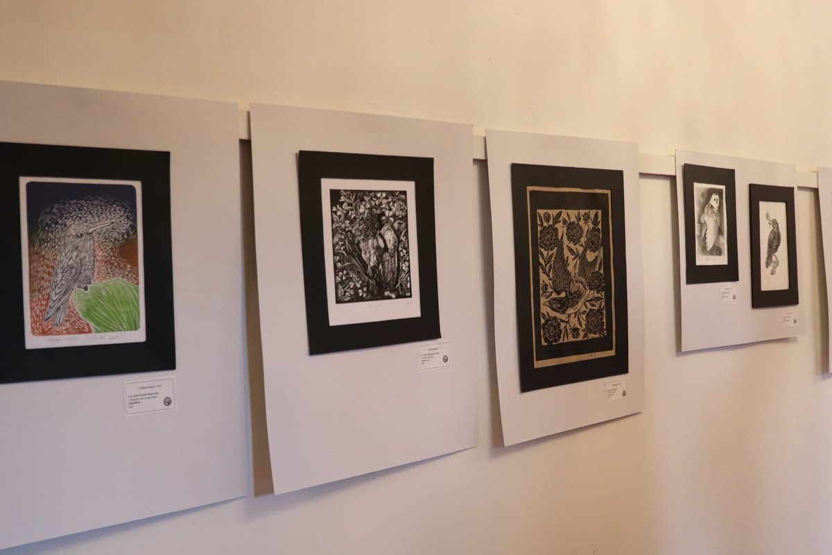 SoyUnison's tweet photo. La Unison en el #FAOT2026.
La exposición “Aves en el arte gráfico”, donde participan estudiantes de Artes Plásticas, forma parte de la Ruta del Arte en Álamos. https://t.co/rPQNWphWSL