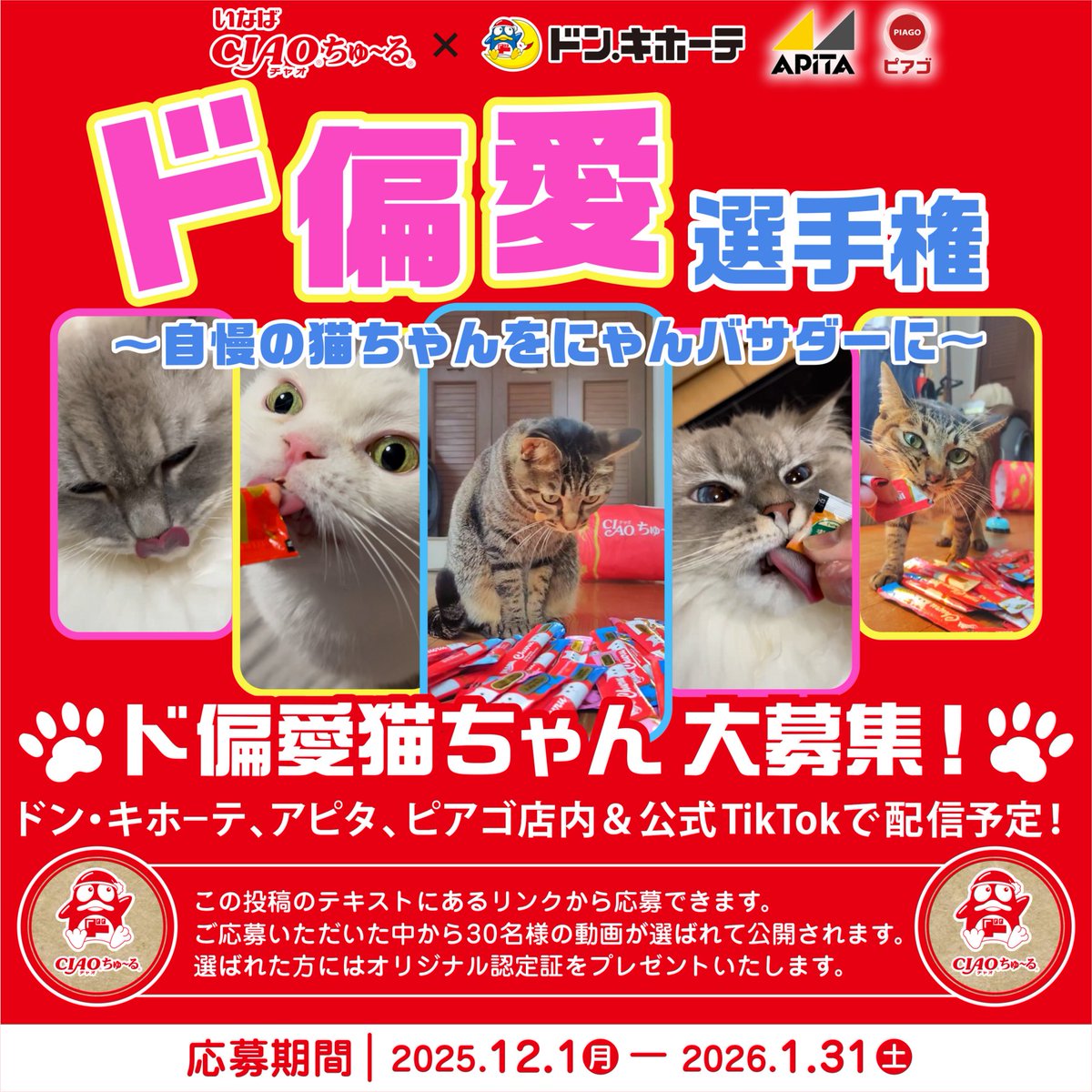 あぴまぴ様ご確認用 かみさまみならい ヒミツのここたま めじ