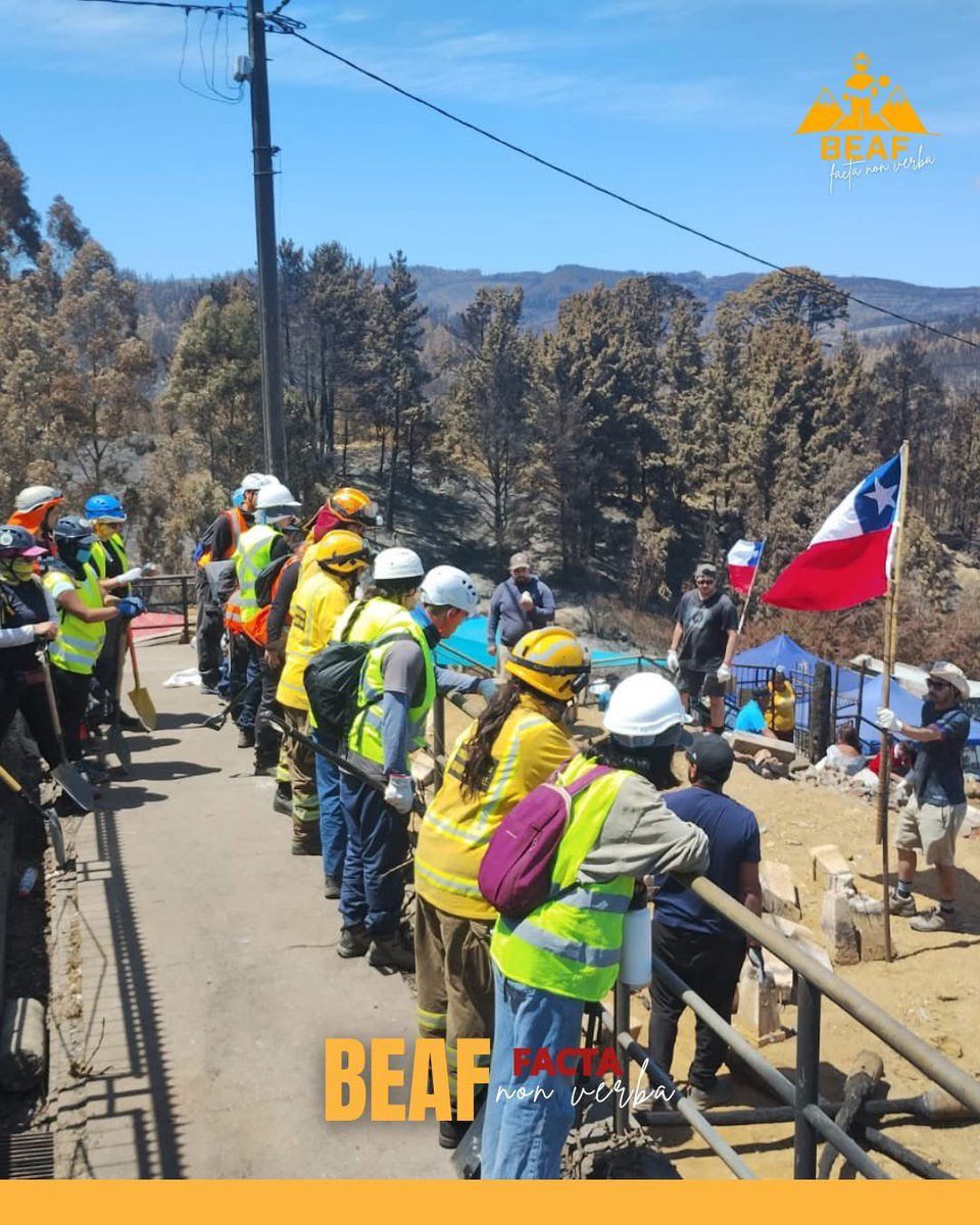 1ª Brigada Forestal Voluntaria de Chile tweet media