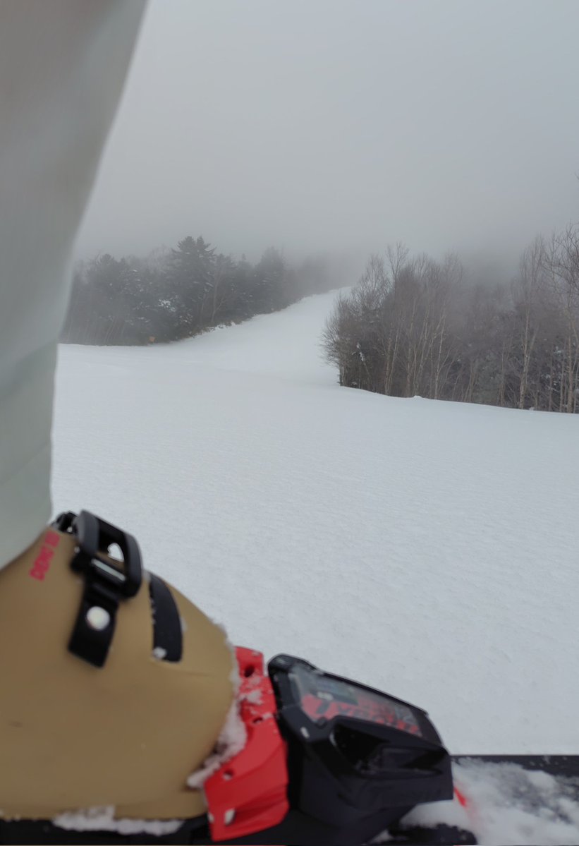 DAY7
∑(°口°๑)❢❢ｼｭｯｷﾝﾊﾞｼｮﾏﾁｶﾞｴﾀ!!

いや、カタログ見に来ました
ちょっと思ったのとチガウ
しばし考えます…

スカイは怖くて行けませんでした…
Cは外足荷重ガタガタで、このあと空手の練習がある私にはムズいです
早々と退散します…

#オオハタスポーツ
#木曽福島スキー場