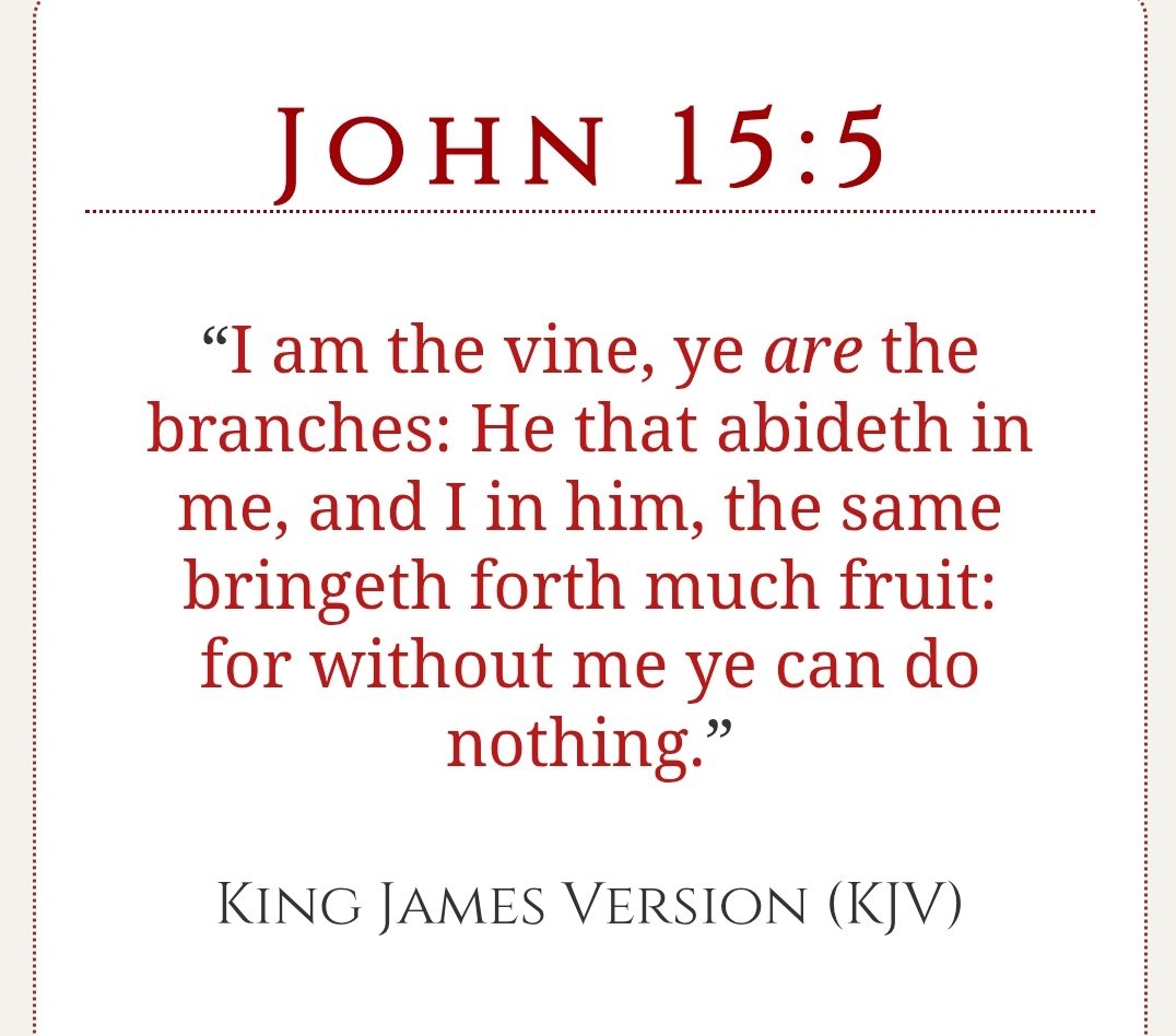 Vibrotone tweet media