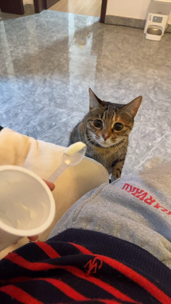 又做了个春梦
两个高高的男孩子
变着花样把我灌满了😍