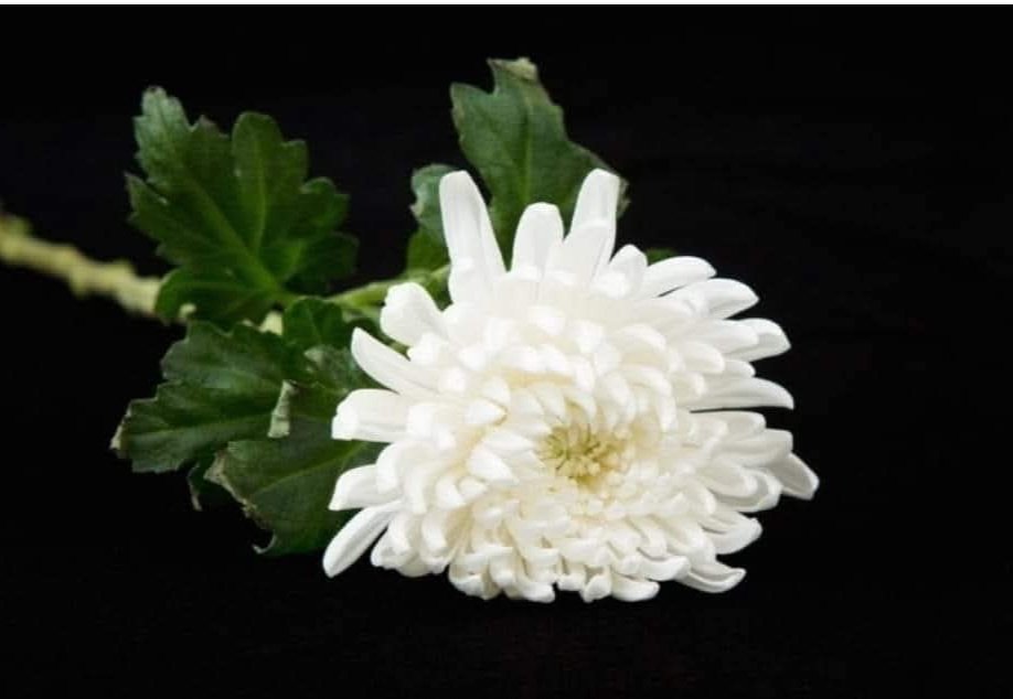 문명순 tweet media