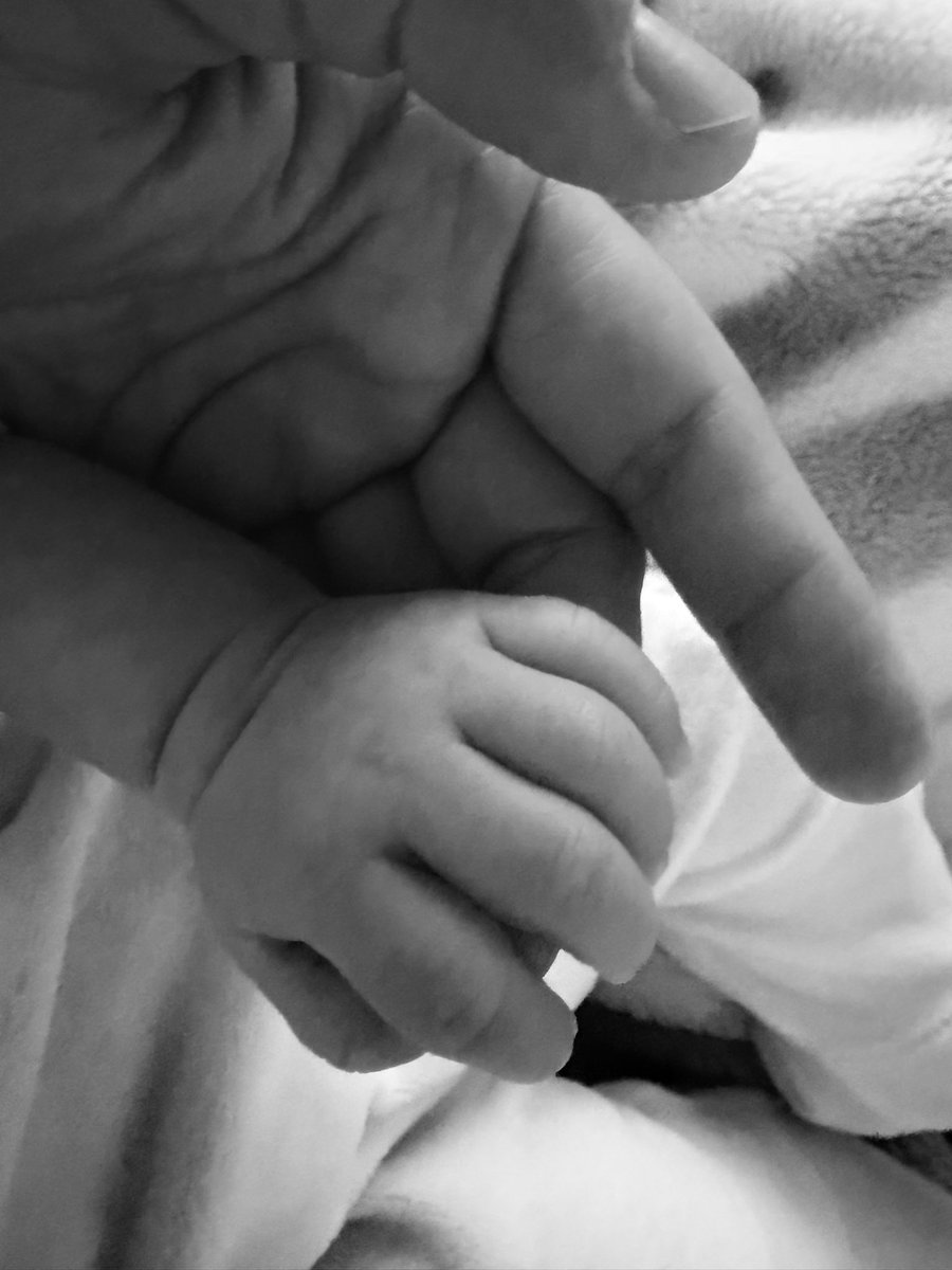 La pedagogía nace del griego paidagogós: paidos (niño) y agogé (conducir). Su sentido original es llevar de la mano, acompañar el camino del aprendizaje, no imponerlo, sino guiarlo con cercanía, cuidado y propósito #SoyPuraAlma ❤️