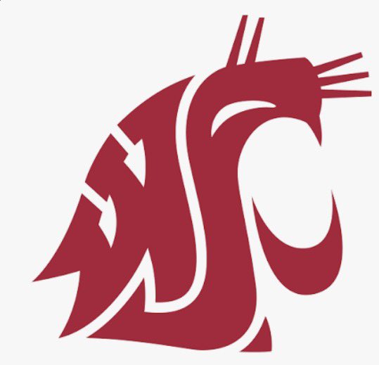 JeremiahMilan29's tweet photo. I am blessed and very thankful to receive my second Division 1 offer from Washington State! @WSUCougarFB https://t.co/4EaSclR2y5