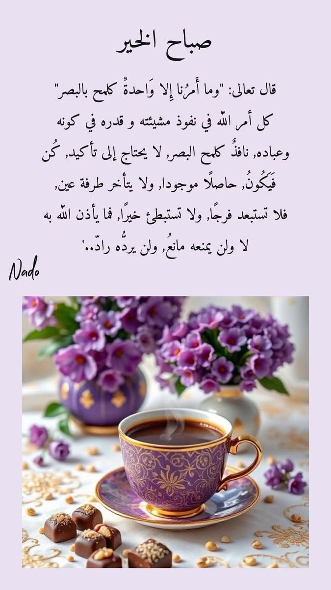 صباح الورد 🌺