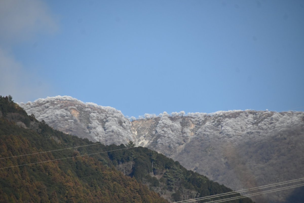 HadanoVC's tweet image. 8時40分の気温4.1度 晴れ
空気が冷たいです！今朝は #表尾根 や #鍋割山稜 に霧氷が付いているのが確認出来たので、表尾根が良く見える西山林道入口方面へ行ってみました。稜線をズームしてみると、木々が真っ白！
途中で、地面に降りた #ジョウビタキ や畑を歩いて餌を探す ＃ツグミ が見られました。