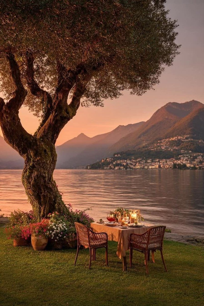 aestheticspost_'s tweet image. 