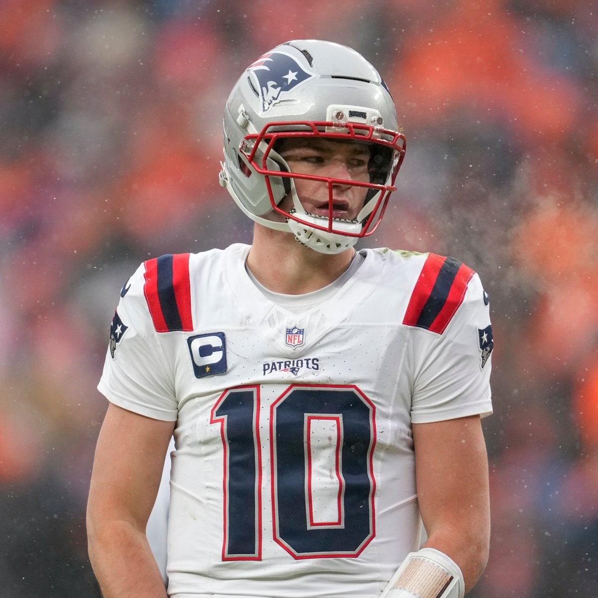 Domenic Padula tweet media