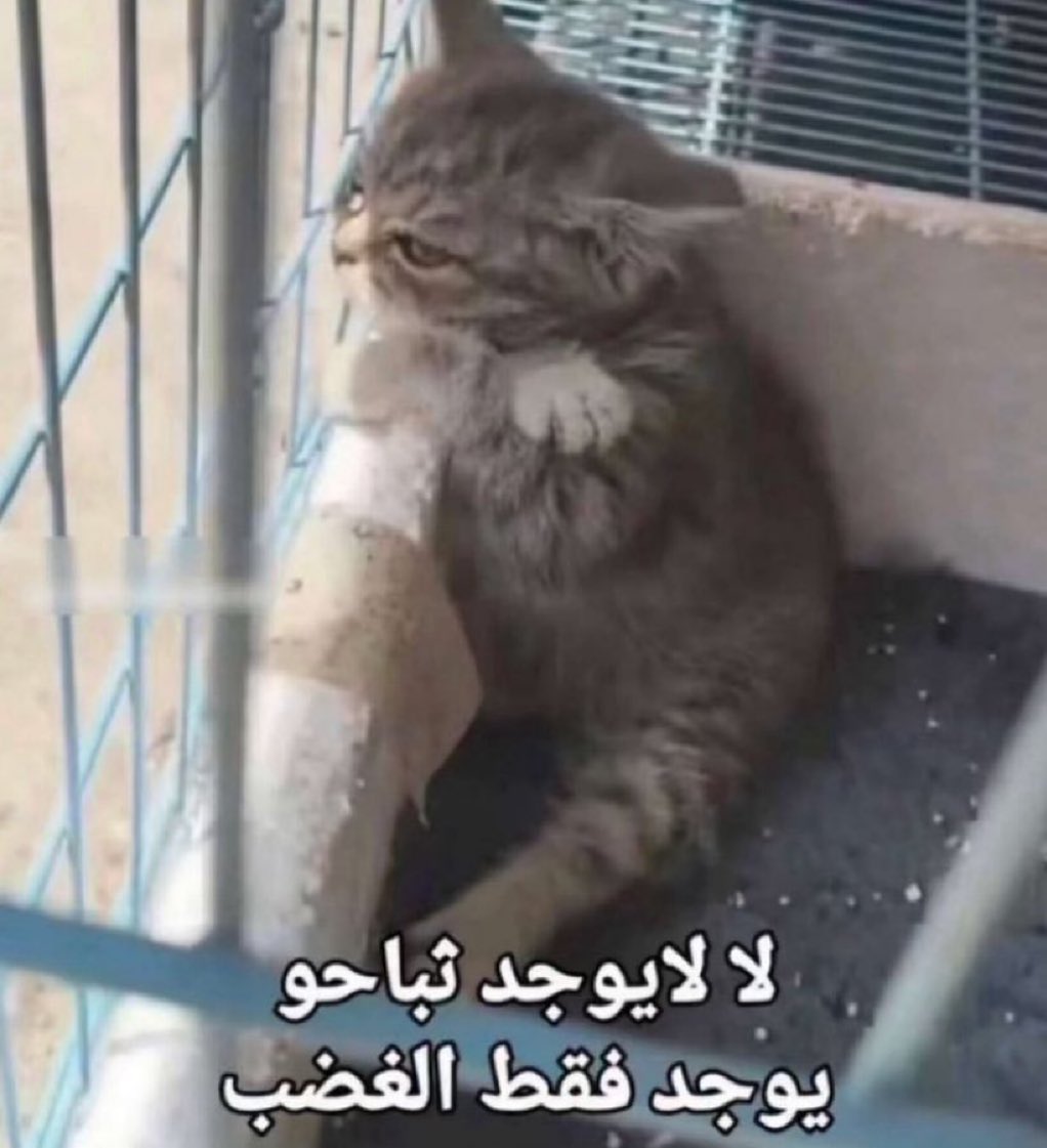 4wuui's tweet image. 