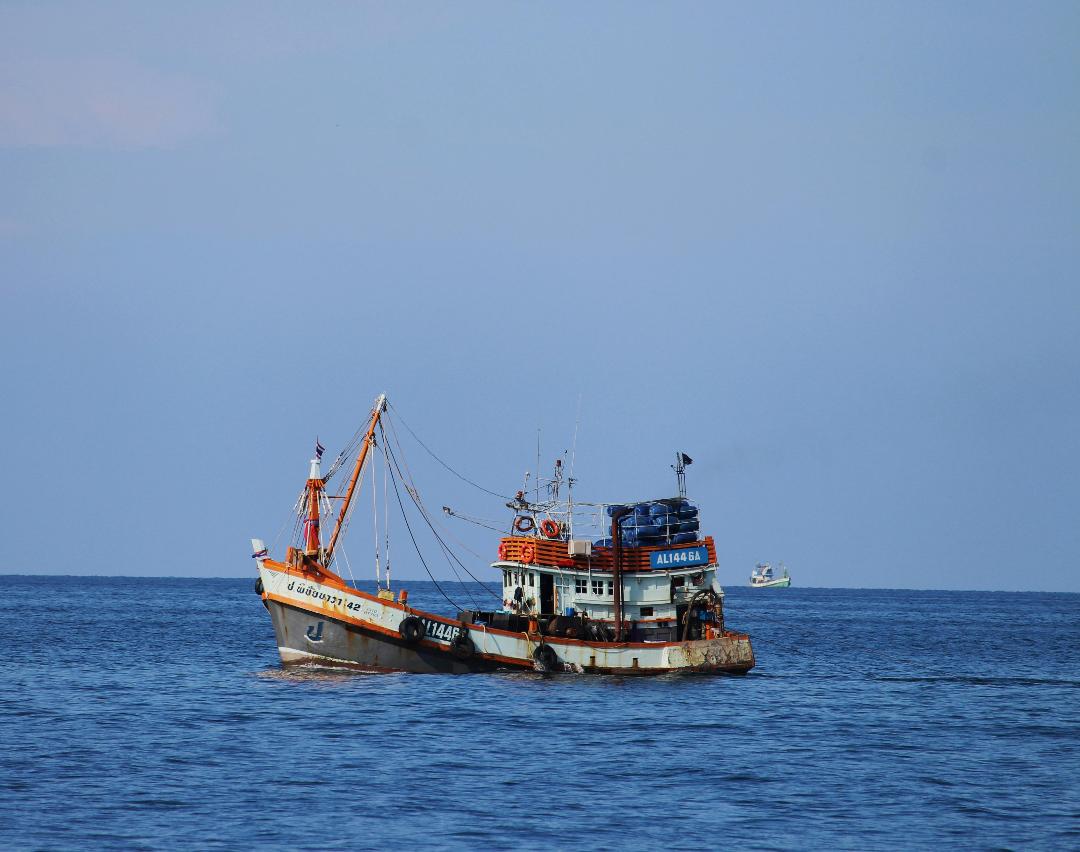 Stats Globe tweet media