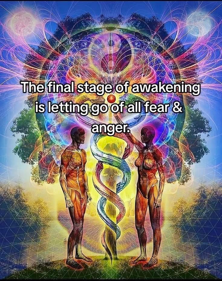 🧬Maxpein🧬 (@maximumpain333) on Twitter photo 