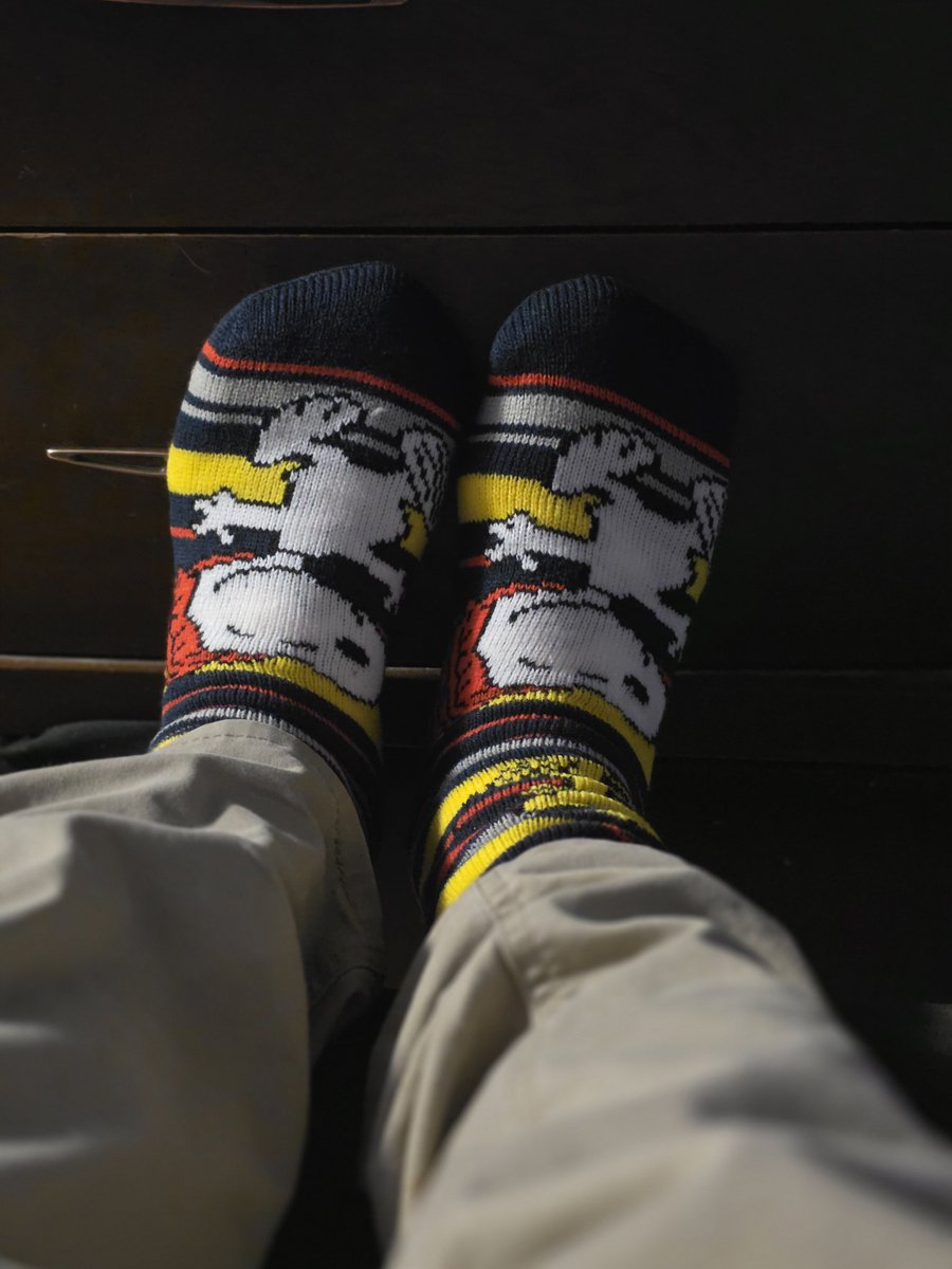 Brians_hat_page's tweet photo. Im a suck for anything peanuts.
#peanuts #Charliebrown #snoopy #SNOOPYθΆε± #snoopymuseumtokyo #socks #cartoons #feetΩ #keepingwarm #keepwarm #winter #January #arcticstorm #arcticcold #arctic https://t.co/bqdSX1M5el