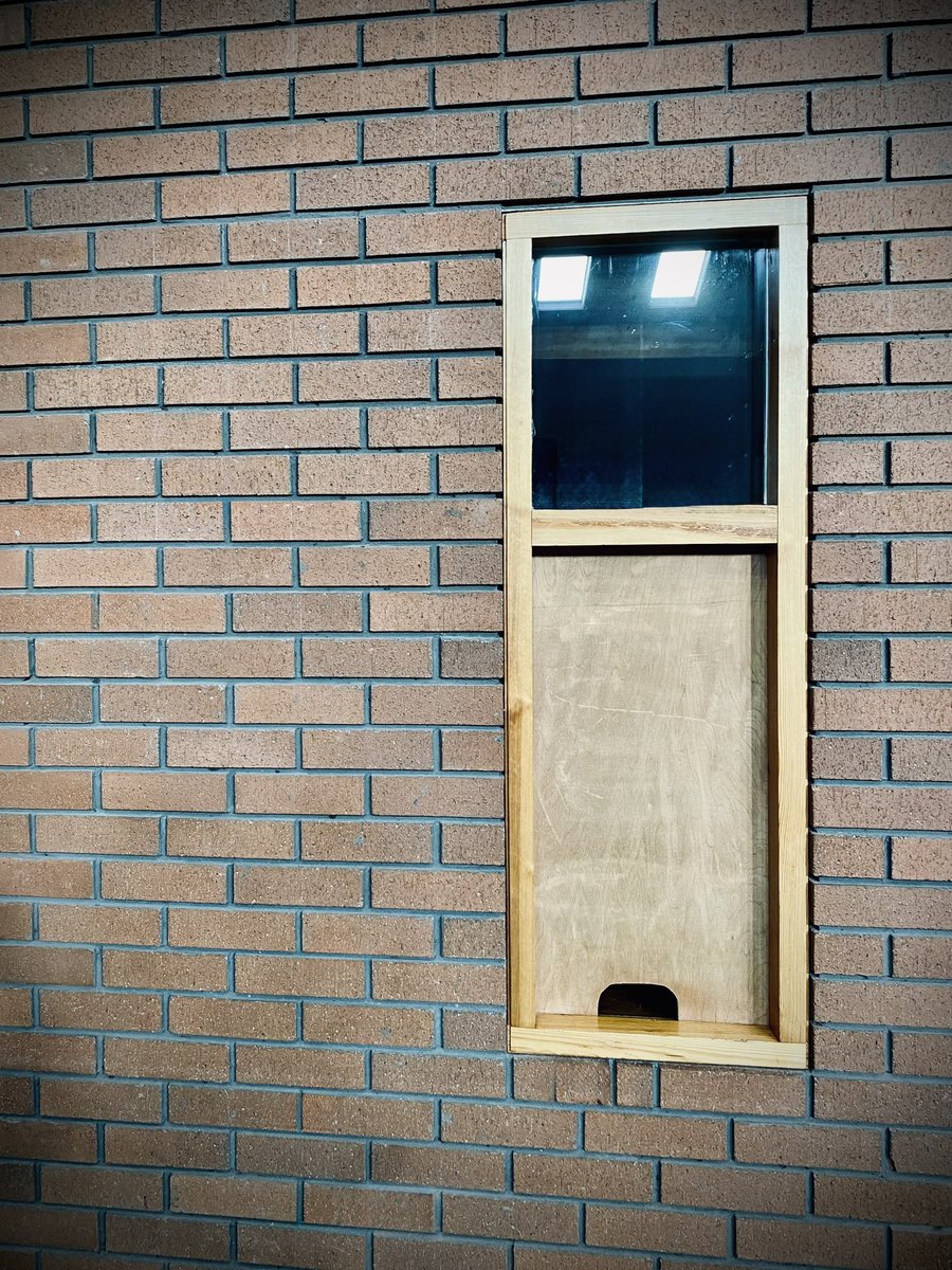 Corey Lane tweet media