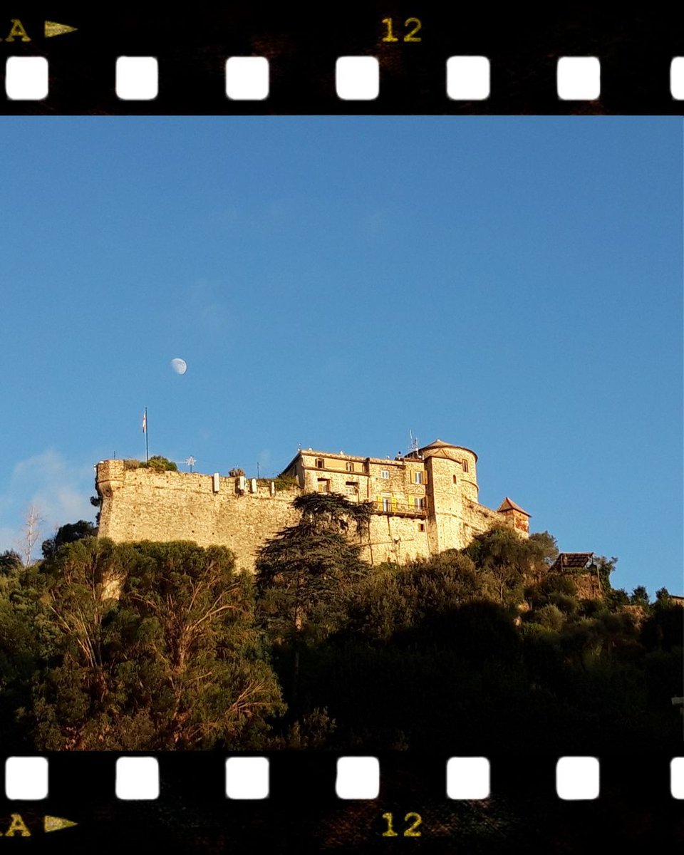 The bewitching beauty of #CastleBrown &amp; the #Moon in #Portofino
Book your #tealeafreading here

#diviner #dowser #tealeafreader #oracle #divining #dowsing