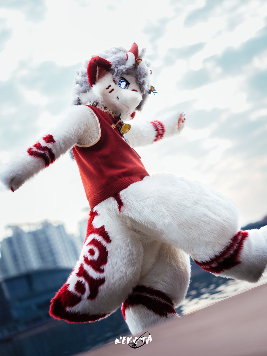 ネコタ@NEKOTA➡ちるこん (@hinekota) / Posts / X