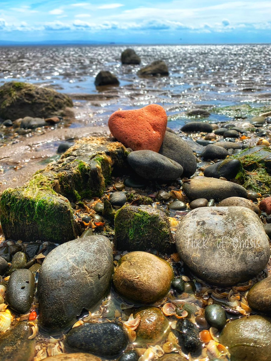Finding a Heart

Wandering quietly along a shoreline, hands in pockets. Letting thoughts drift  like the tide is very rewarding. Sometimes nature provides an unexpected treasure. This sea worn piece of brick sculpted by the elements, the perfect extrasomatic moment 🥰