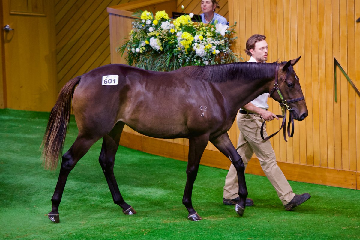 Cambridge Stud tweet media