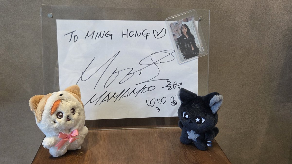 #별이를_찾아라