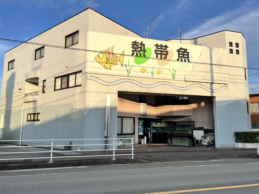 AquaTalkingReview & アクアト活動広報 tweet media