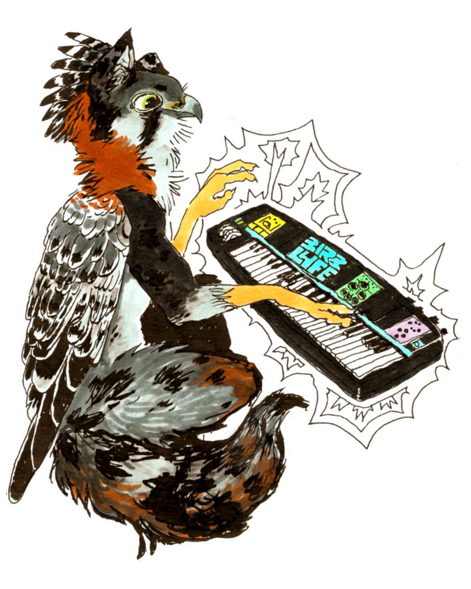 BIRBLYFE🇵🇸🇨🇩🇸🇩 tweet media